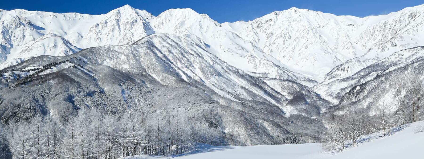 白馬岩岳スノーフィールドの紹介